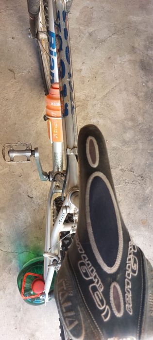 Bicicleta adulti