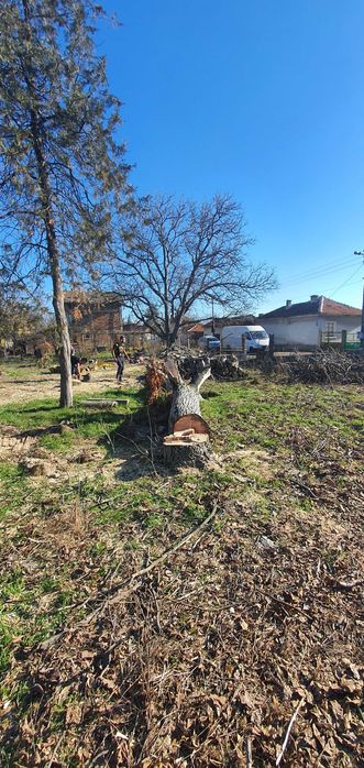 Рязане, транспорт, цепене,подреждане на дърва,почистване,извозване