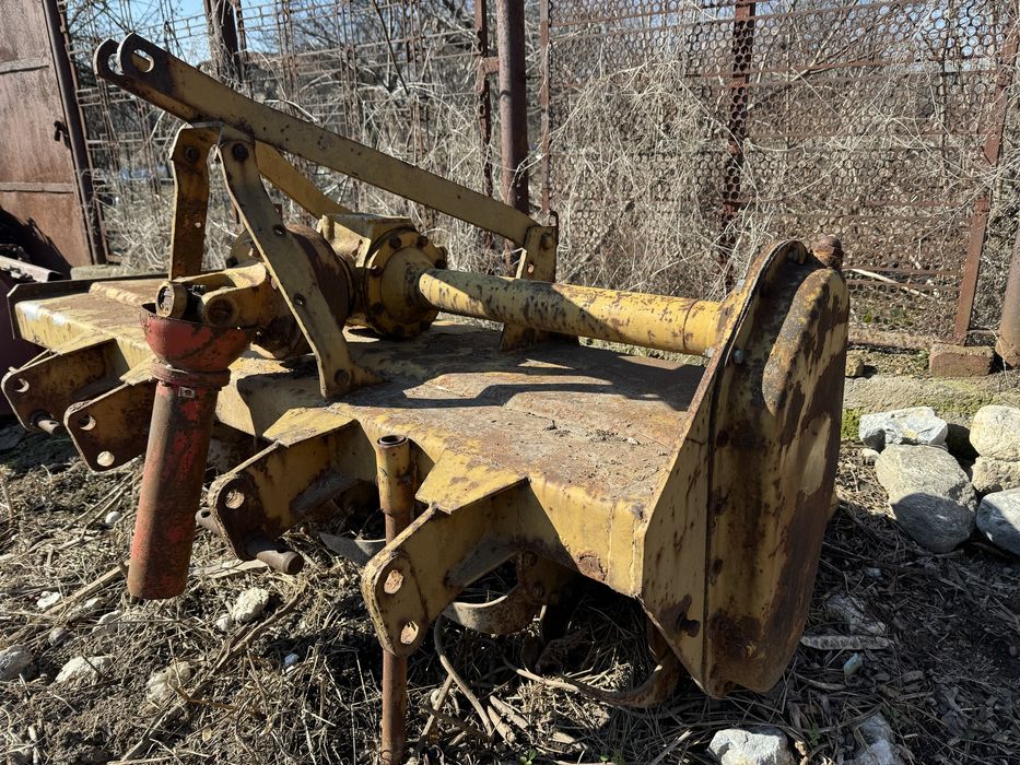 Карловска Фреза  1,60м