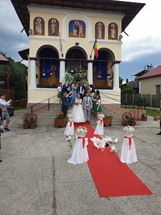 Porumbei albi ptr nunti în Sibiu si Valcea