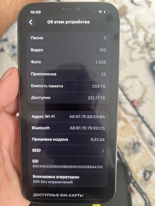 12 pro max 256gb