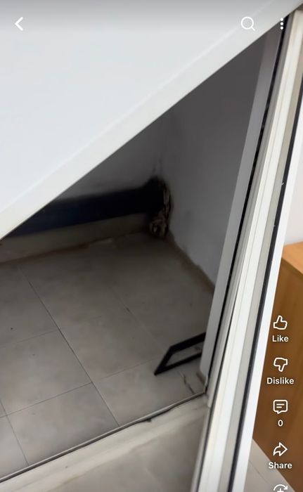 Дава се под наем Мезонет в Пловдив, Каменица 1 - 70 кв.м за 298.86 € - Снимка #6