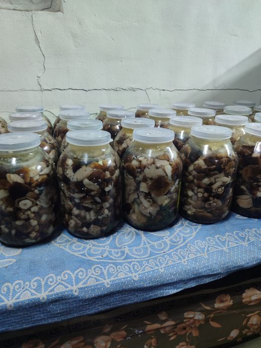 Продам грибы валуи и грузди