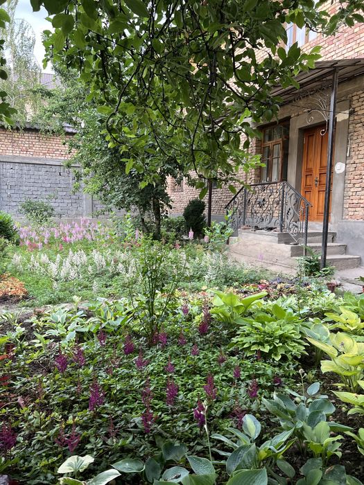 астильба бардовая белая сиреневая розовая