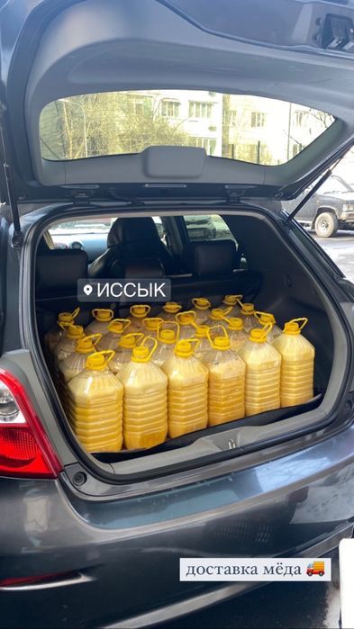 Продам мёд из ВКО. БАЛ.