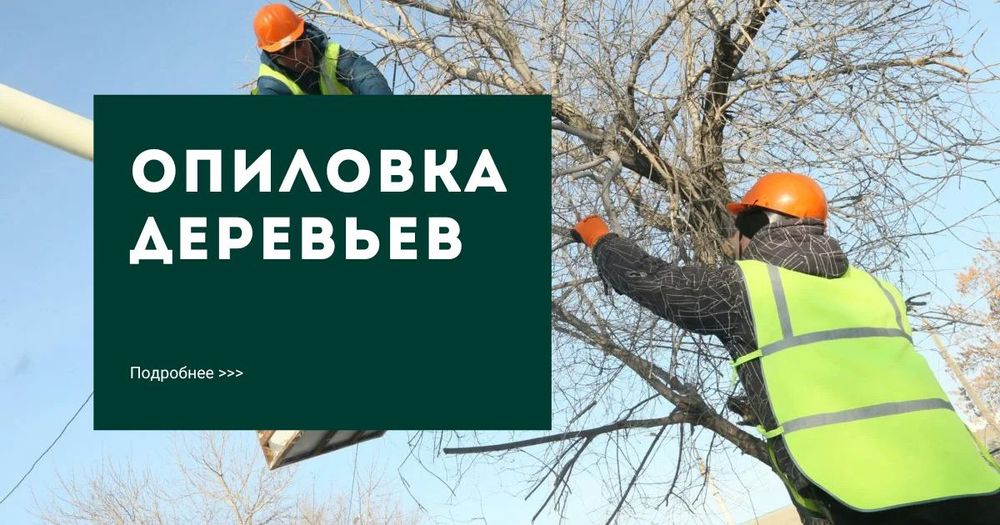 Спил валка кронирование