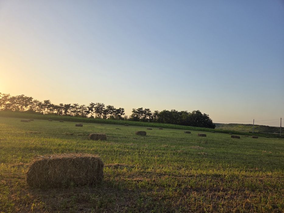 Lucerna eco premium