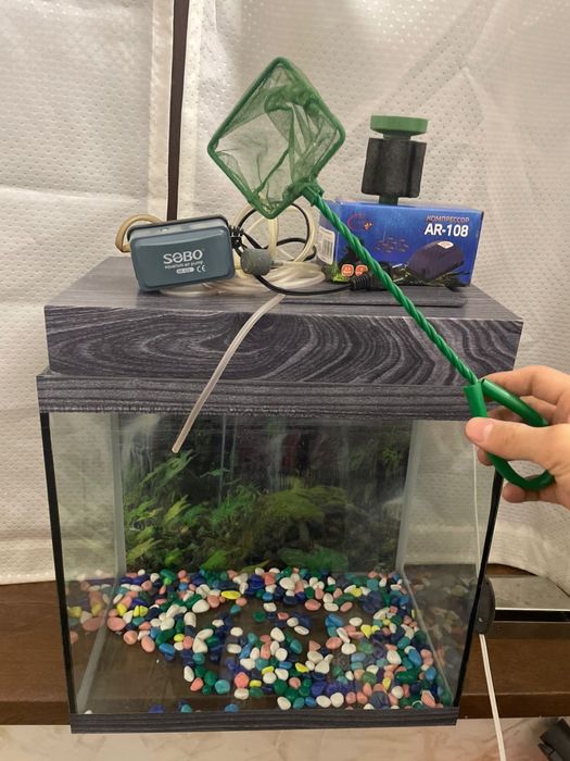 Аквариум для рыб