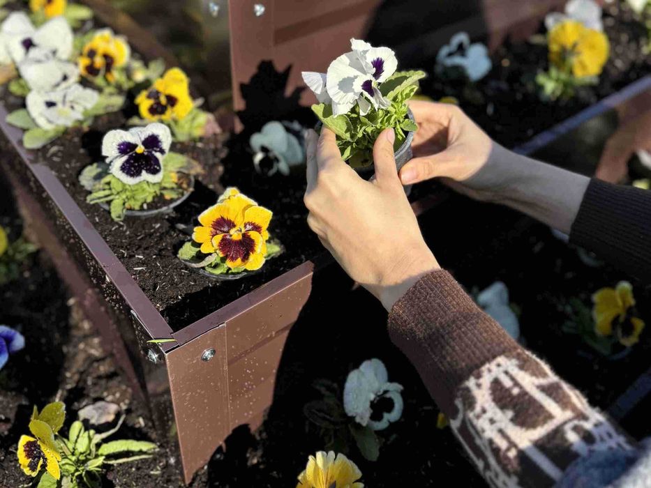 Цветарници Primaterra