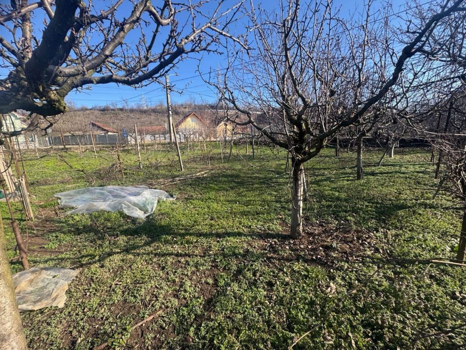 Teren INTRAVILAN 462 MP pe colt cu 2 deschideri