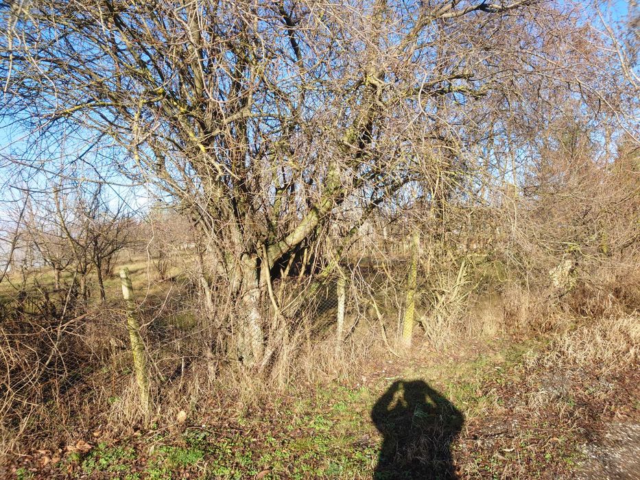 Къща в село островче