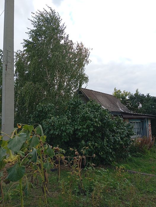 Продам дачу 4 соток.