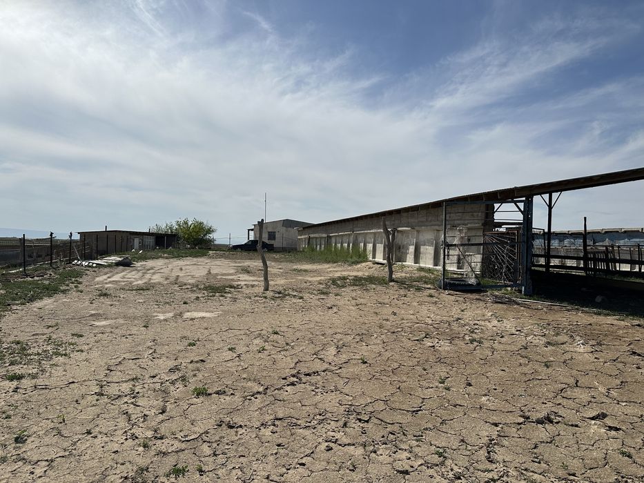 Продаётся фазенда