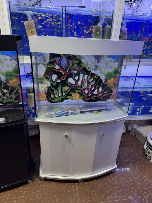 Akvarium 150- litrlik