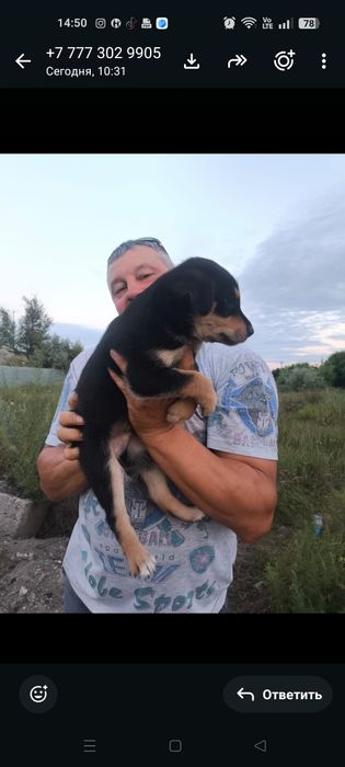 Девочки и мальчики ждут своих родителей.