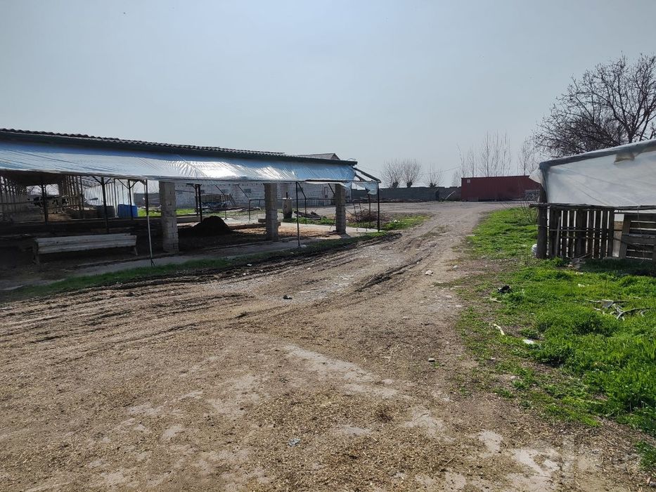 Iyik Otada ferma sotiladi (71 sotix) – Hamma sharoitlari bor