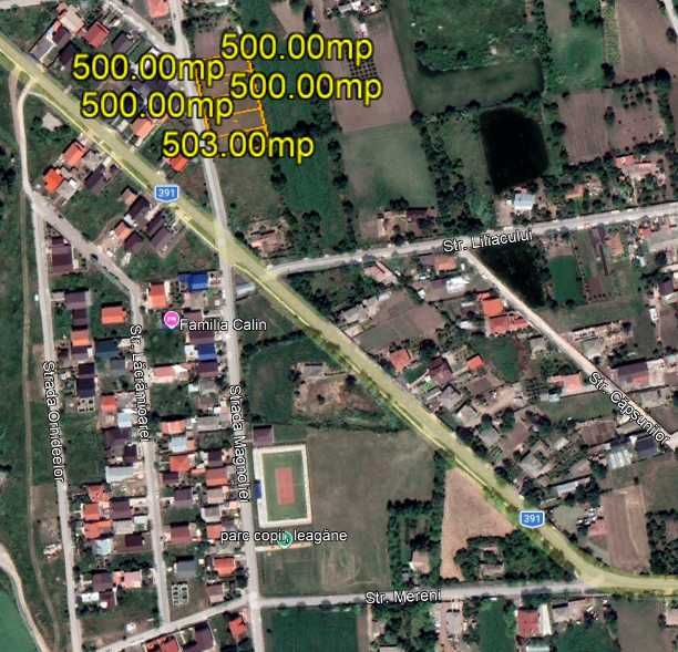 Teren Topraisar de vanzare 1lot 500 mp