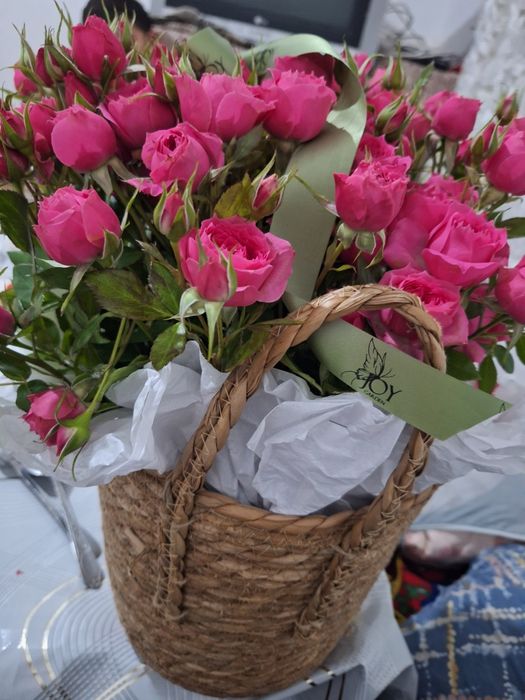 Кустовые розы новый