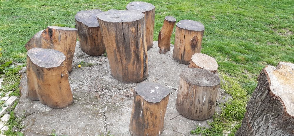 Trunchi (Butuci) din Nuc