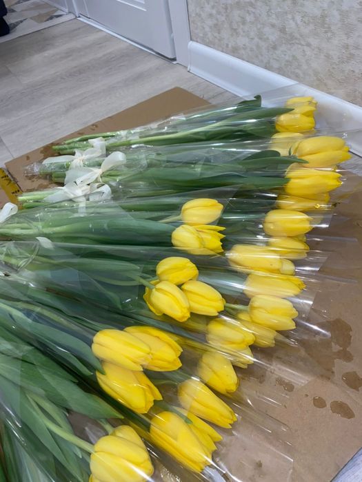 Свежие тюльпаны по 650