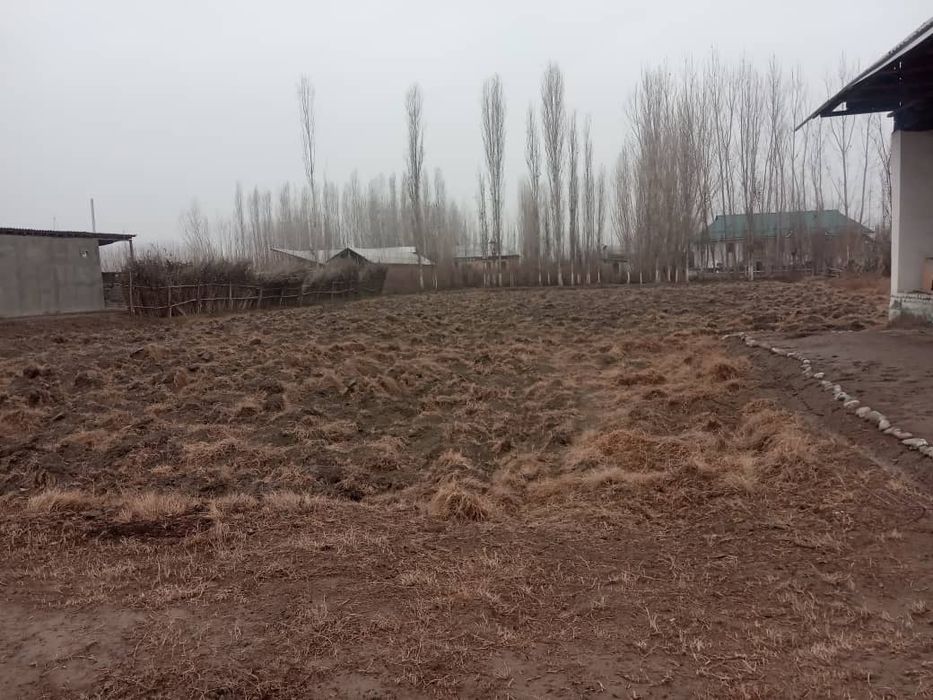 20 sotix yer uchaska sotiladi