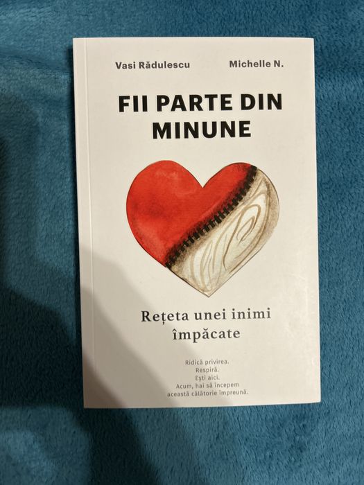 Lot carti Vasi Radulescu