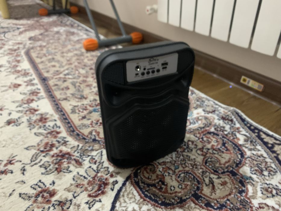 Колонка с микрофоном