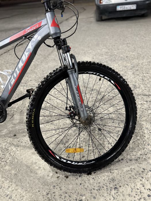 Шымкент тур велик цена 30к