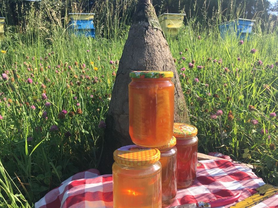 Родопски пчелен мед
