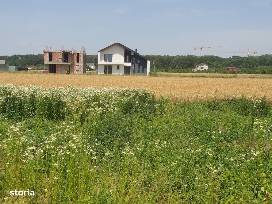 Teren Balotesti,padure Sri,19500 euro