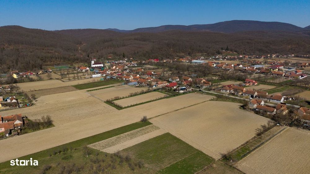 Loc de casă în Odvoș - Conop 3000mp