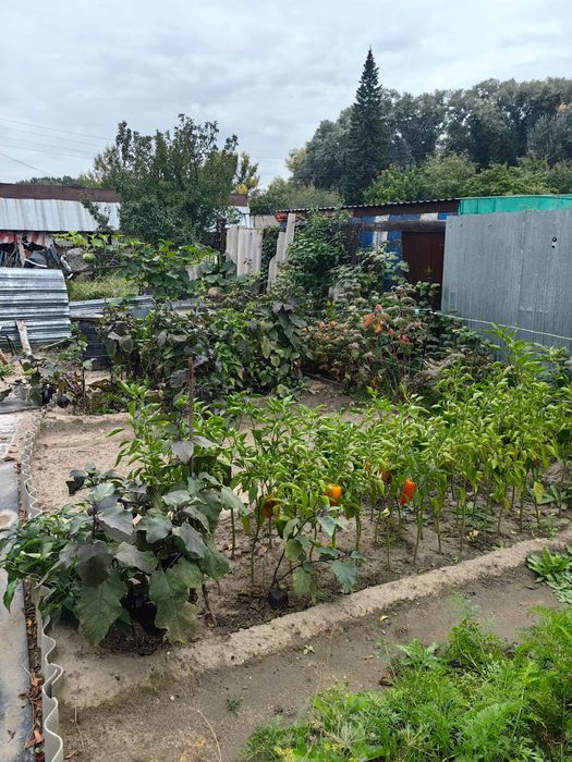 Продам дачу в районе холодного ключа