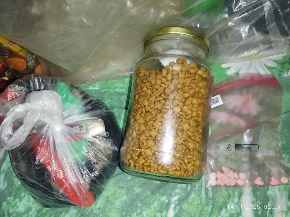 Набор кошачий + Корм Сухой Pro plan