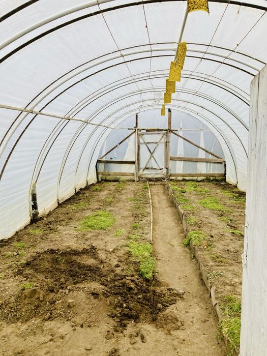 Vand Solar - Persoana Fizică