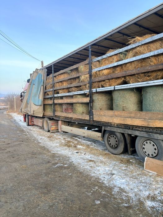 Baloti fan sau lucerna  rotunzi min.40.Drept.500. Tranp.inclus>RO UE
L