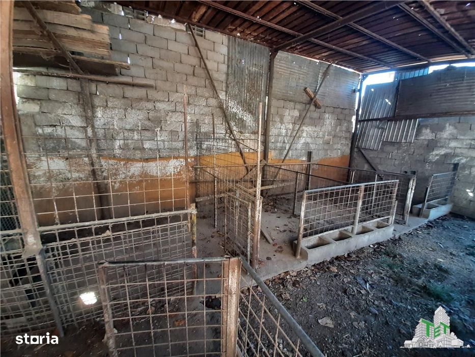 Teren 4000 mp + casa demolabila in BragadiruVarteju (Magurele)