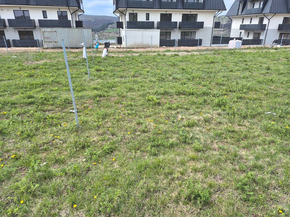 PF Vând teren construcții zona Calea Baciului