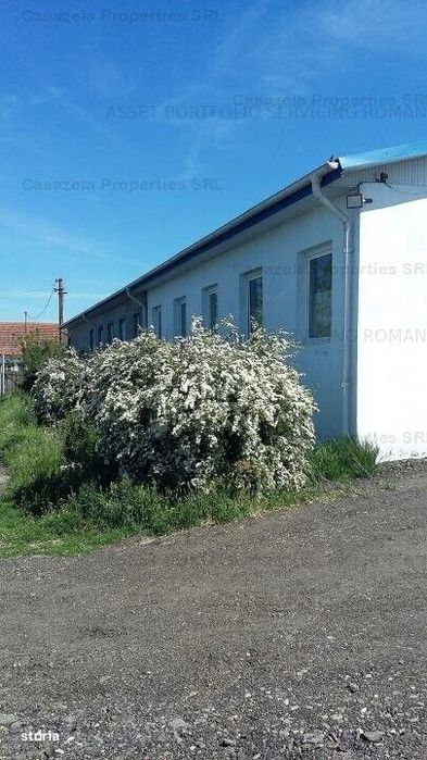 Spatiu industrial, Manoleasa, Botosani