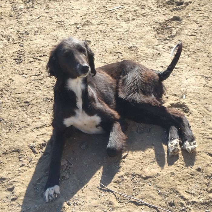 Кира Рид порно