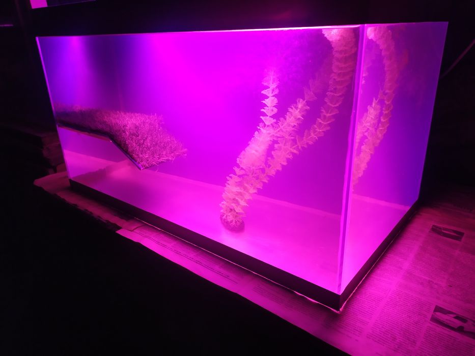 Аквариум с сушей для черепах.