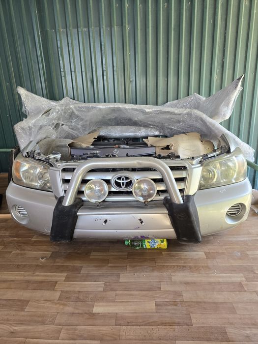 Мини морда ноускат