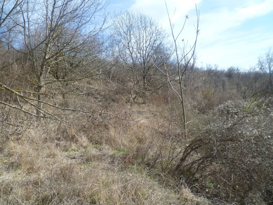 Недвижим имот 2350 квадратни метра,продава се 100 евро квадратен метър