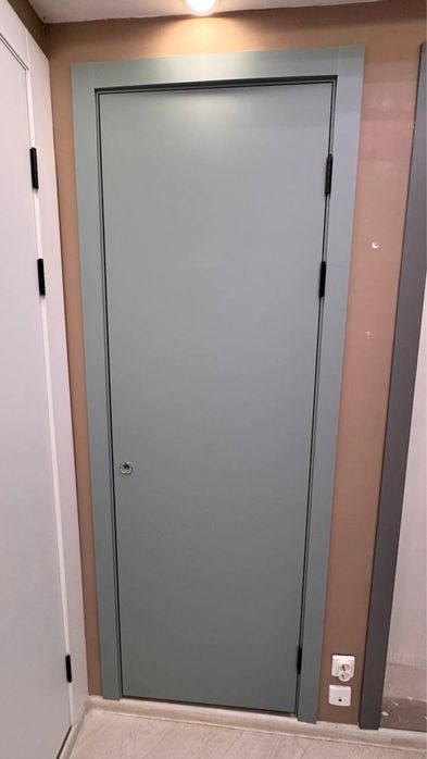 Двери (только полотно)