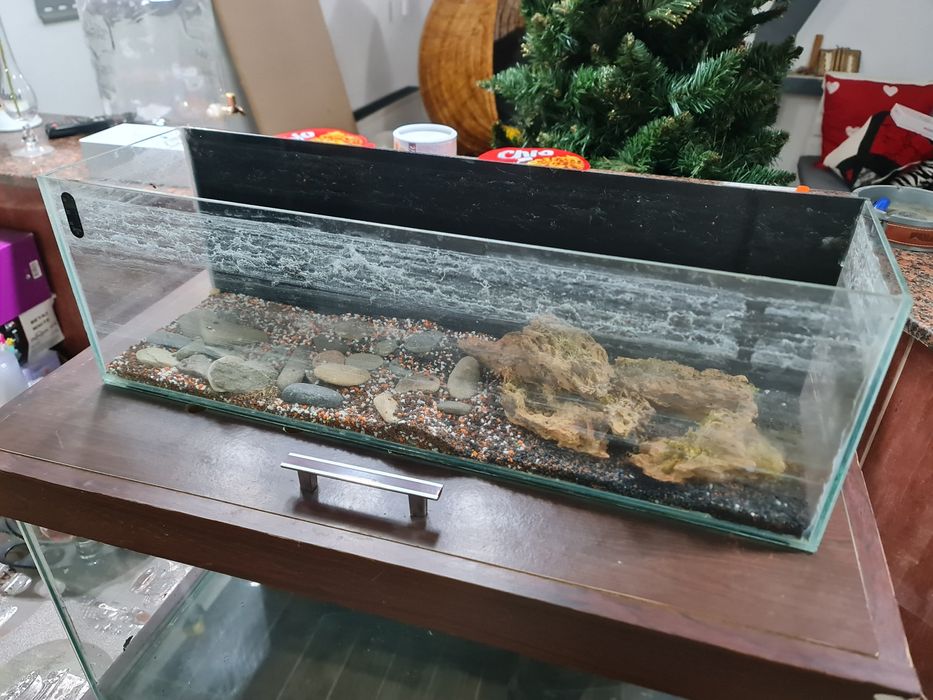 Acvariu 21L de vanzare