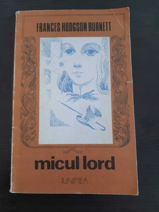 Diverse carti, manuale, dictionare, reviste