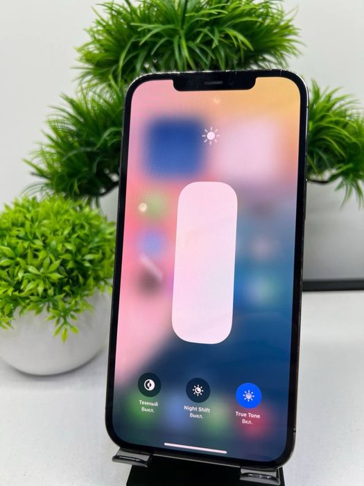 Iphone 12 Pro Max 256 gb