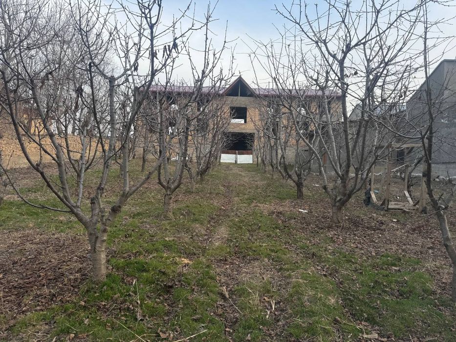 Oltin tepa toshmi posti