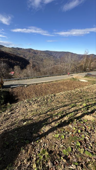 Vand teren 1363 m2 Muntele Rece