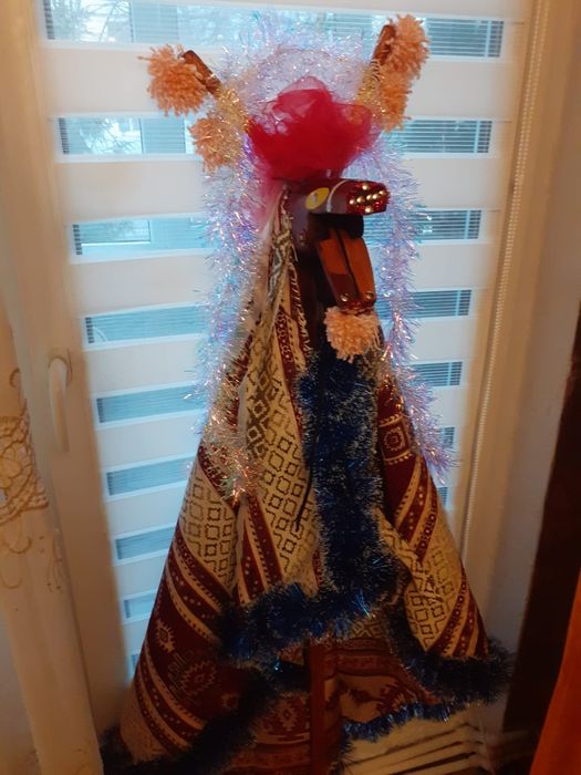 Vand capra pentru datinile de Anul Nou și Muzee