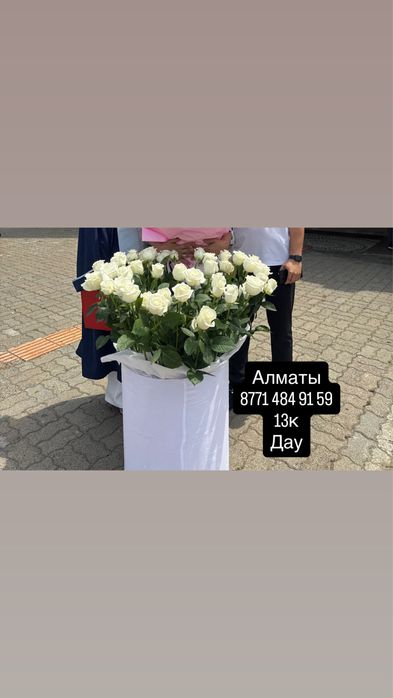Новый бугн кплген дау адеми тусырып беркм